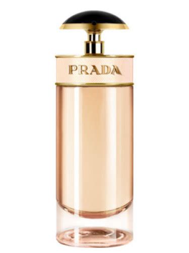 buy prada online italy|PRADA Women .